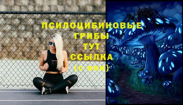 бутират Новозыбков