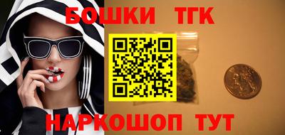 твердый Сланцы