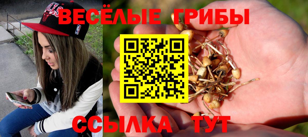 Туймазы  Псилоцибиновые грибы GOLDEN TEACHER  Вход с VPN  Галлюциногенные грибы Psilocybine cubensis 